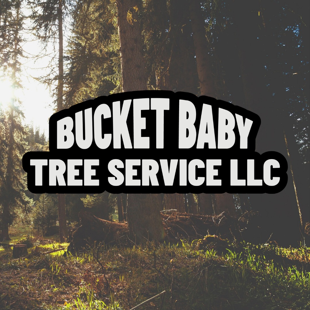 Bucket Baby Tree Service