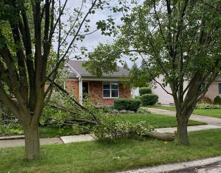 Emergency tree removal Partridge Creek after storm damage