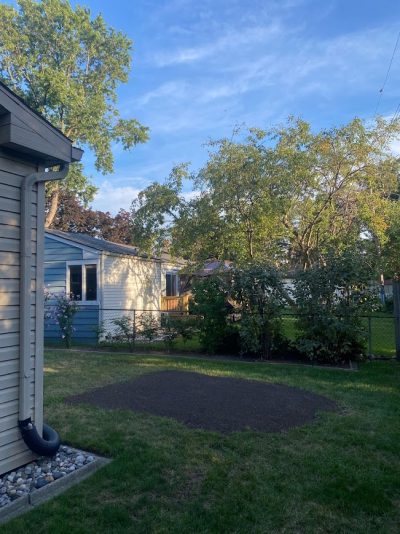 step 3 of tree removal