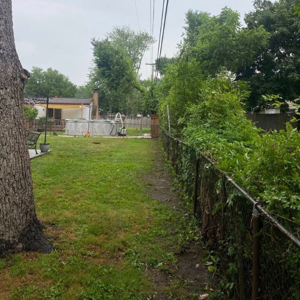 Fence clearing Canal Park removing tree branches near fence line