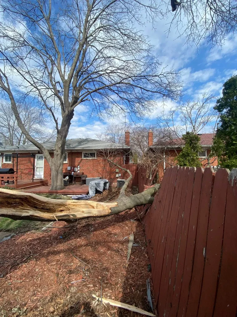 Emergency Tree Removal & Storm Damage Response project 27 project completed in Clinton Township - emergency tree removal Clinton Township MI