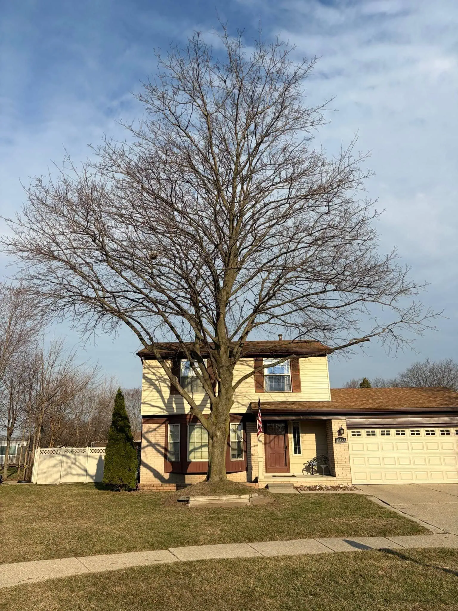 Residential Tree Removal project 25 project completed in Clinton Township - tree removal Clinton Township MI
