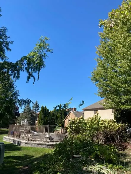 tree-removal-clinton-township-mi-project-30 (2)