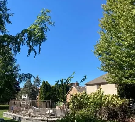 Residential Tree Removal project 30 project completed in Clinton Township - tree removal Clinton Township MI