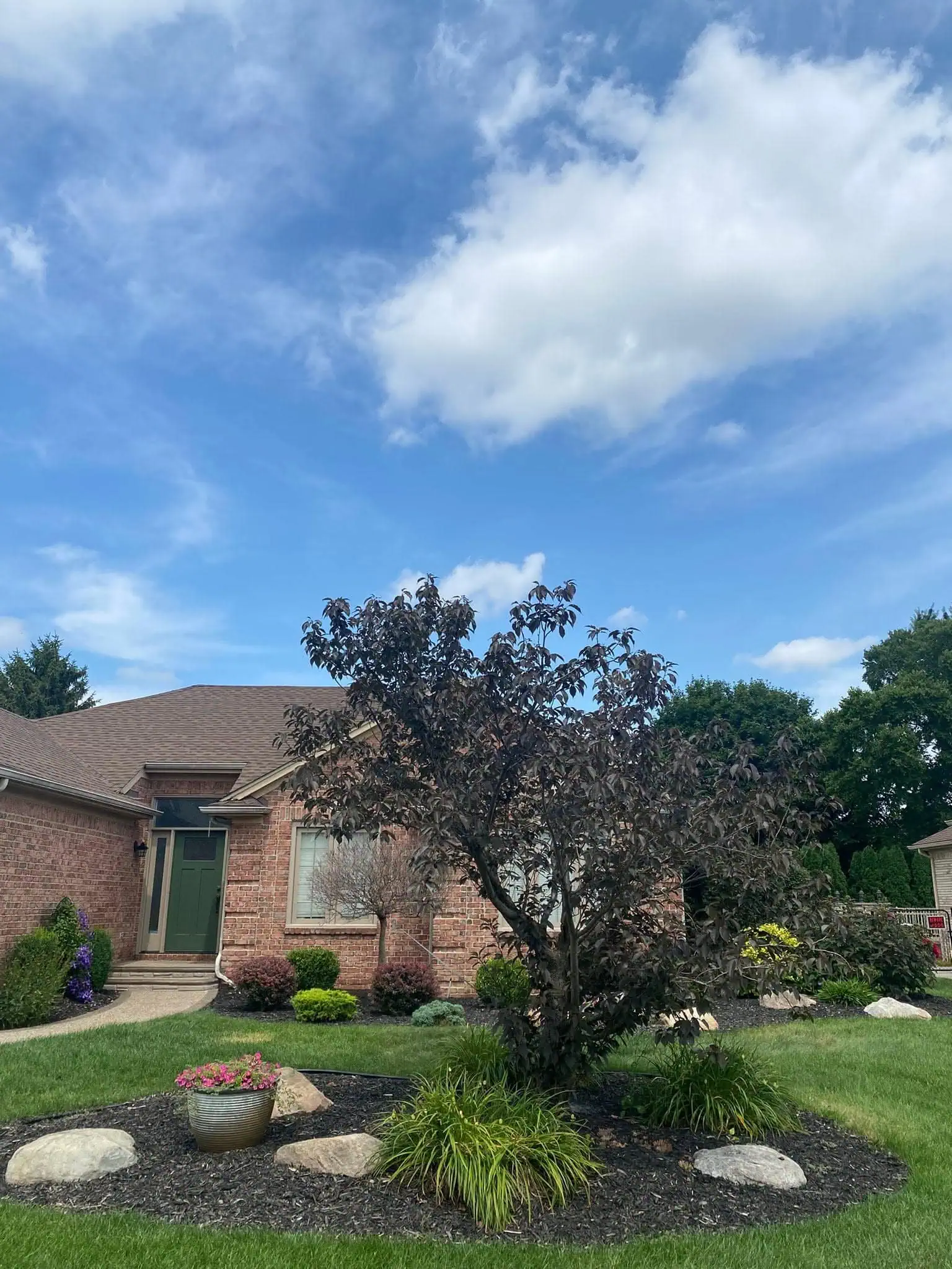 Residential Tree Removal project 38 project completed in Clinton Township - tree removal Clinton Township MI