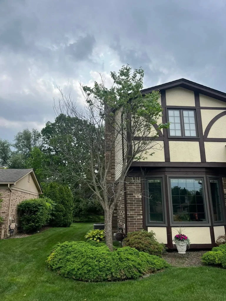 Residential Tree Removal project 8 project completed in Clinton Township - tree removal Clinton Township MI