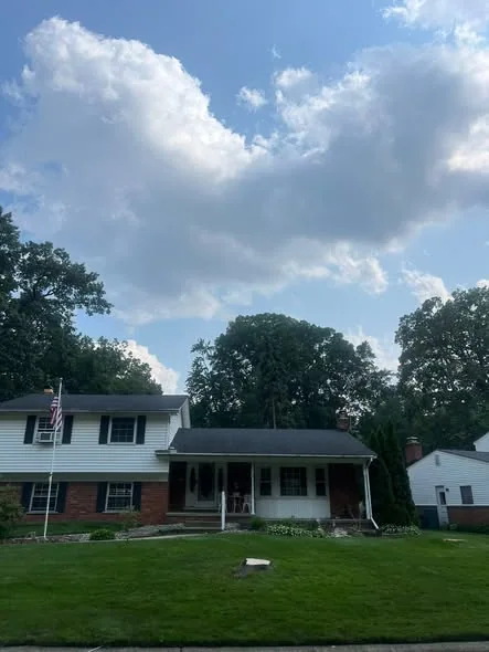 Residential Tree Removal project 40 project completed in Macomb County - tree removal Macomb County MI