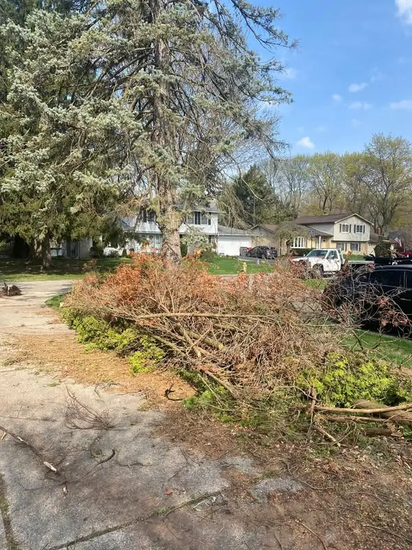 Tree Debris Removal & Cleanup project 17 project completed in Clinton Township - tree service Clinton Township MI