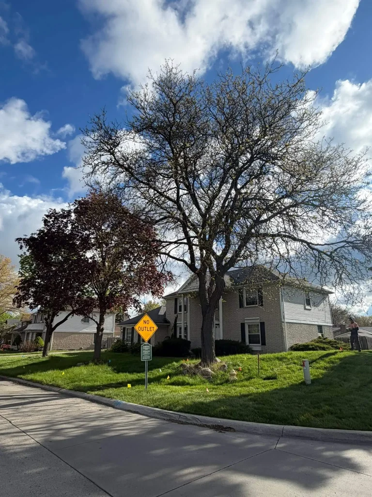 Property Enhancement Tree Service project 22 project completed in Clinton Township - tree service Clinton Township MI