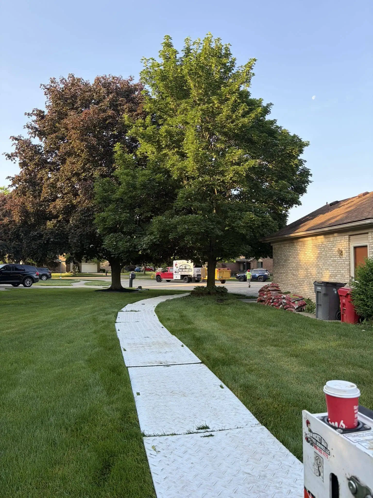 Property Enhancement Tree Service project 20 project completed in Macomb County - tree service Macomb County MI