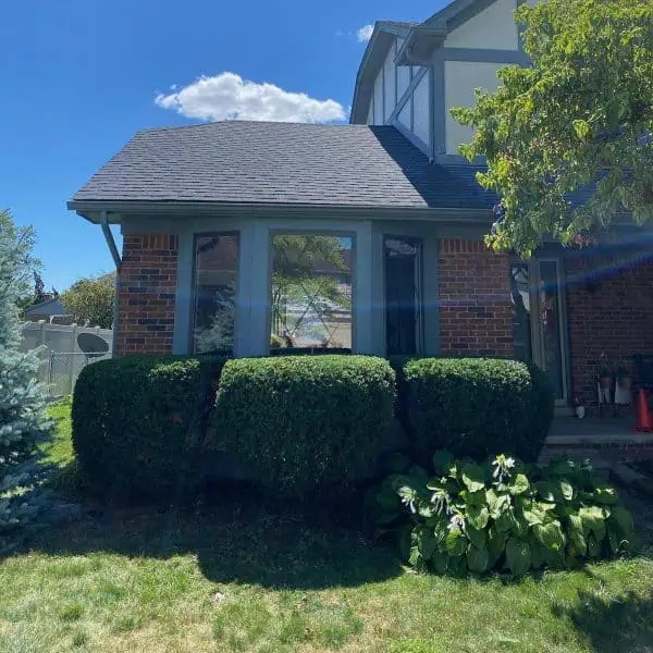 Professional tree and shrub care completed in Macomb County with thorough cleanup