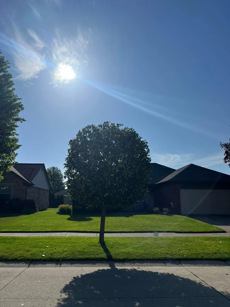Tree Trimming & Pruning project 3 project completed in Clinton Township - tree trimming Clinton Township MI