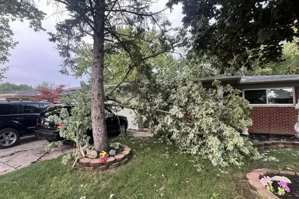 Emergency tree removal and cleanup in Clinton Township MI