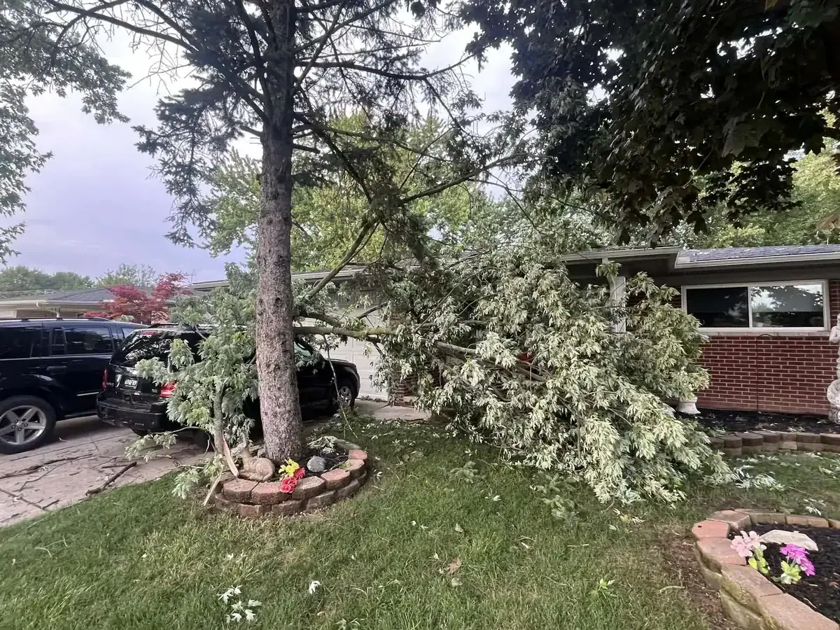 Emergency tree removal and cleanup in Clinton Township MI