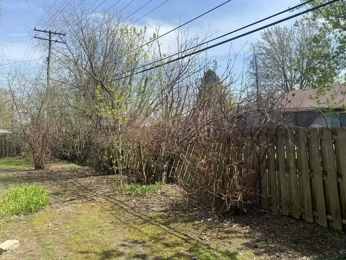First class tree removal service in Clinton Township MI