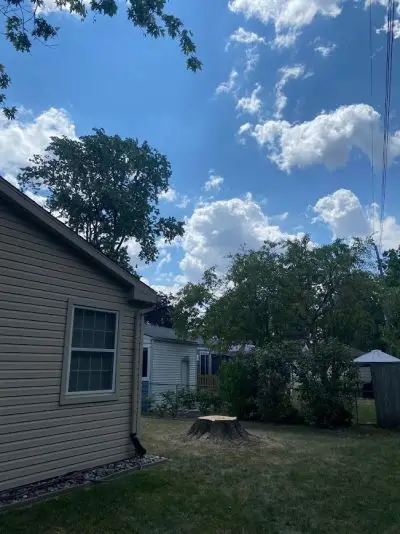 step 2 of tree removal