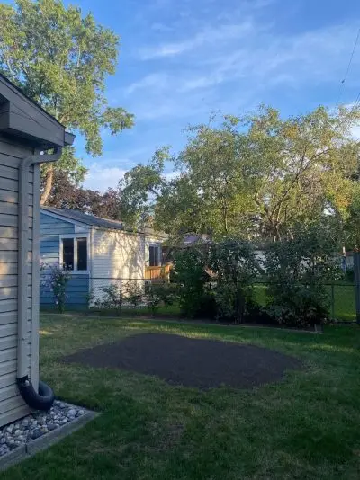 step 3 of tree removal