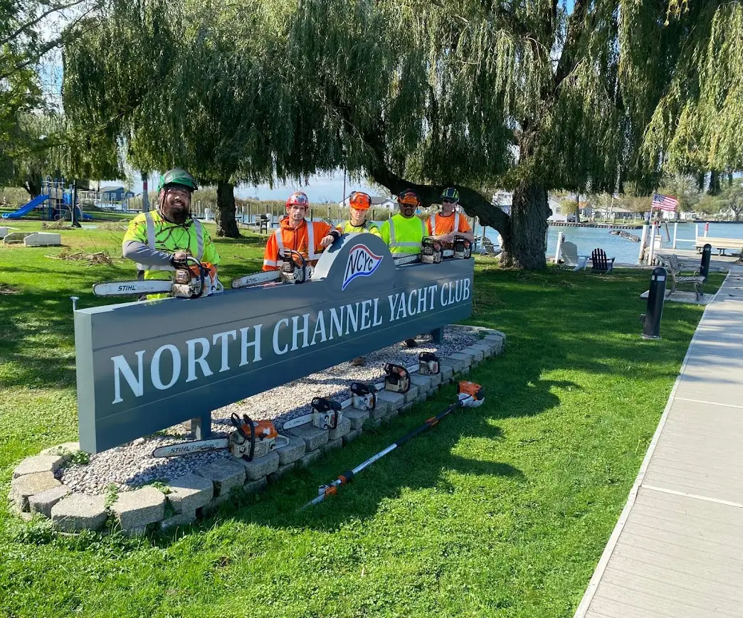 Bucket Baby Tree Service crew - tree contractors in Clinton Township, Michigan, offering tree services including tree removal, tree trimming, pruning, & more tree maintenance; tree contractors in Harrison Township, MI; tree contractors in St. Clair Shores; tree contractors in Macomb Township, MI; tree contractors in Chesterfield, MI