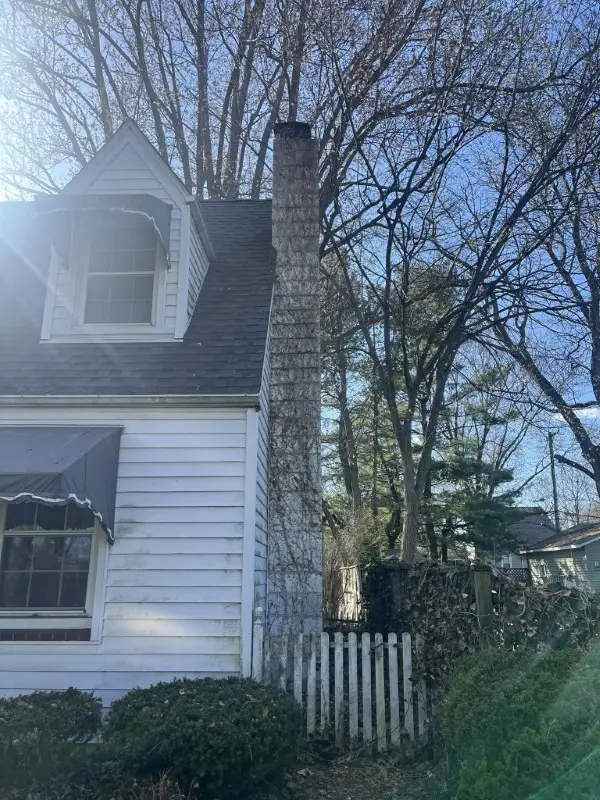 Residential tree removal Rivergate using sectional cutting near suburban home